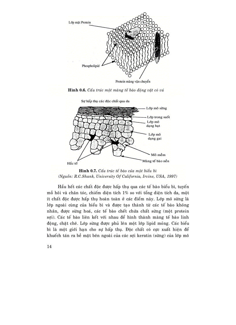image for page Độc học môi trường Tập 2 phần chuyên đề