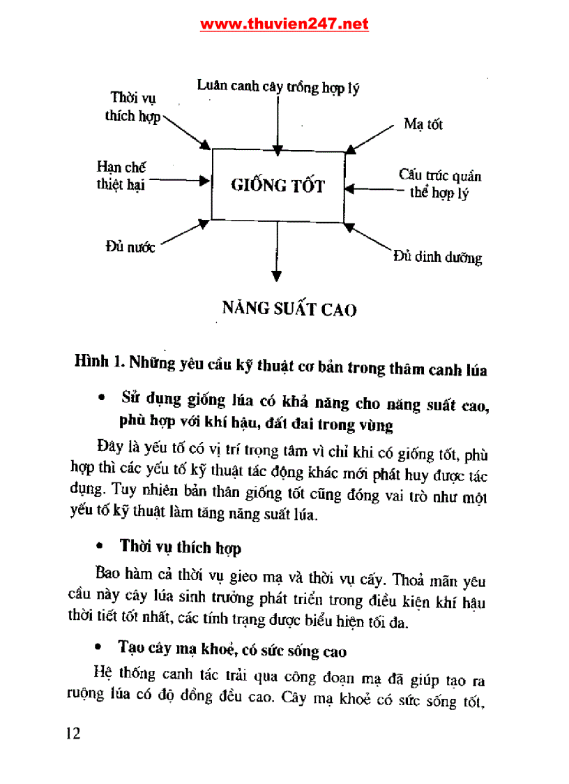 image for page Cẩm nang cây lúa
