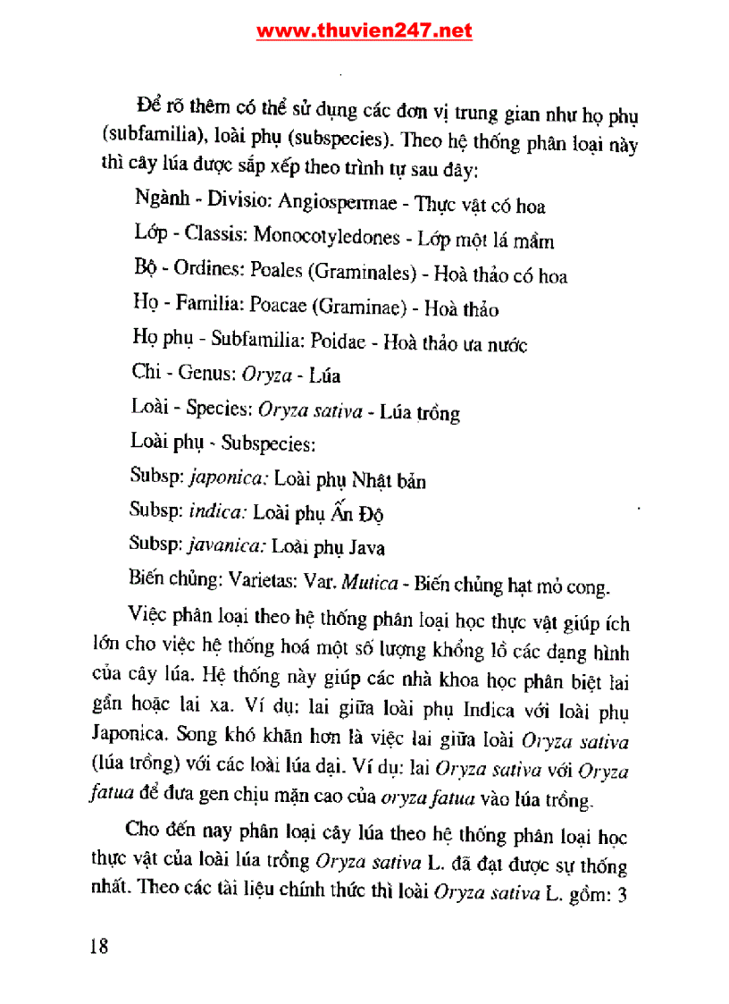 image for page Cẩm nang cây lúa