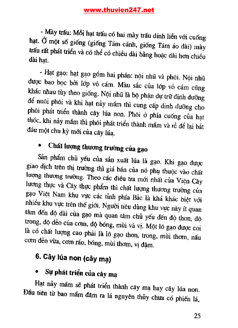 image for page Cẩm nang cây lúa