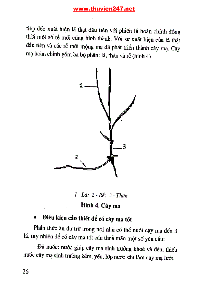 image for page Cẩm nang cây lúa