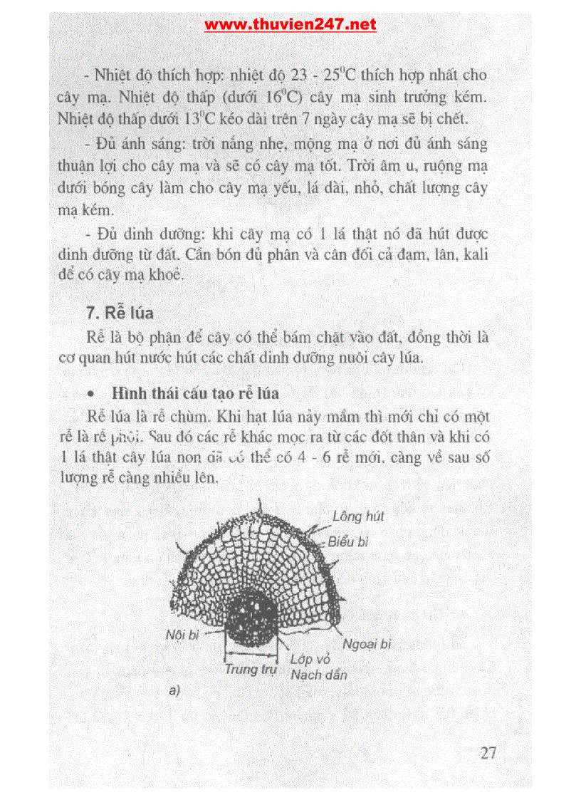 image for page Cẩm nang cây lúa