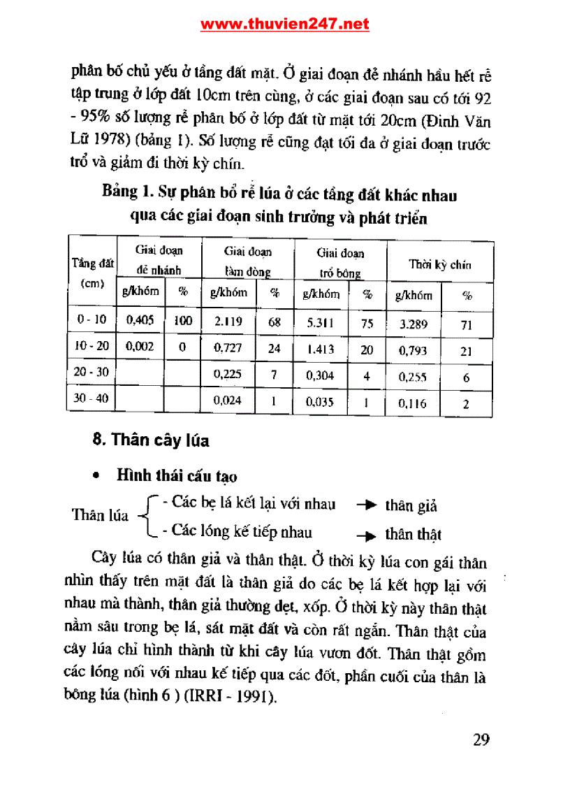 image for page Cẩm nang cây lúa