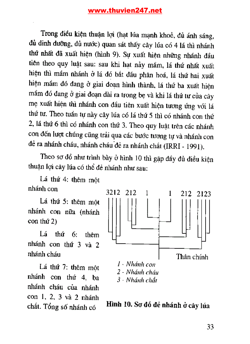 image for page Cẩm nang cây lúa