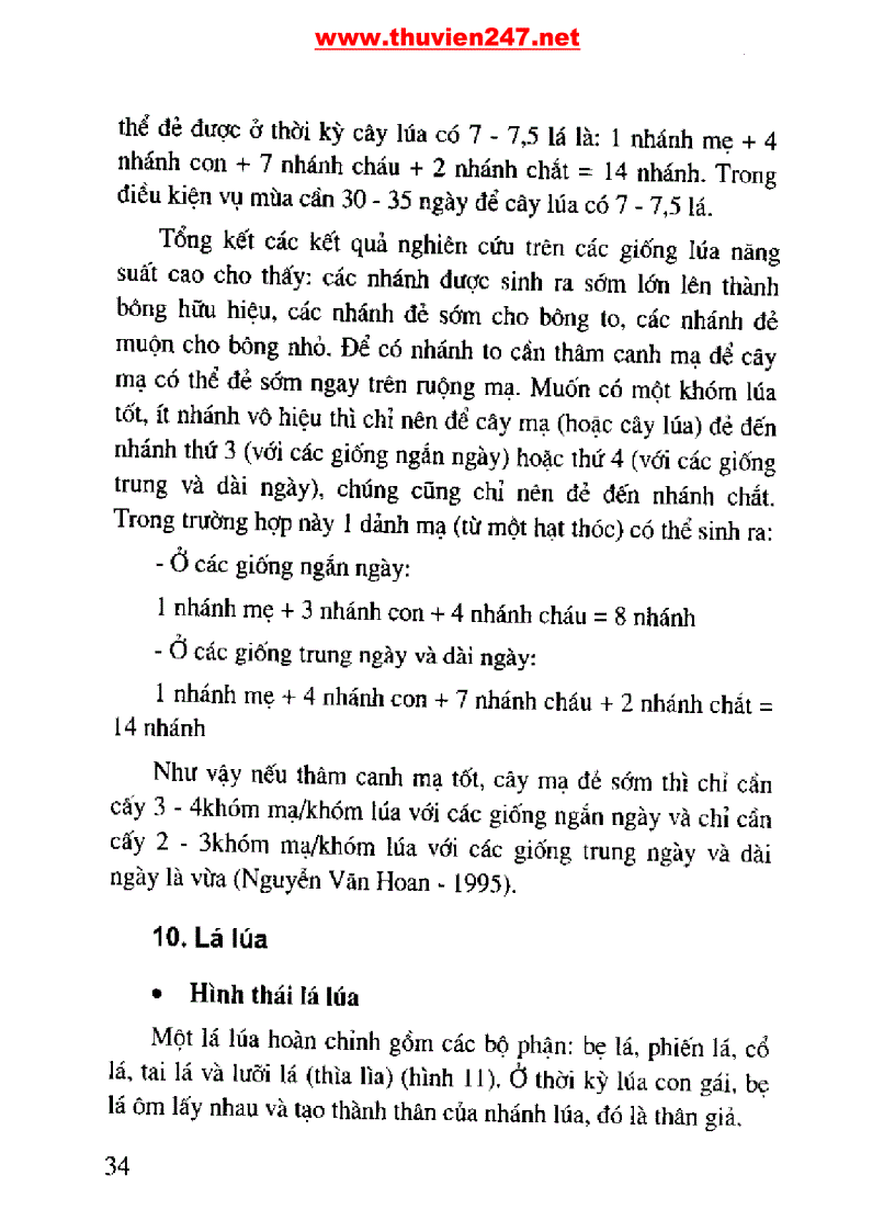 image for page Cẩm nang cây lúa