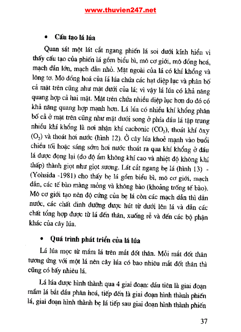 image for page Cẩm nang cây lúa