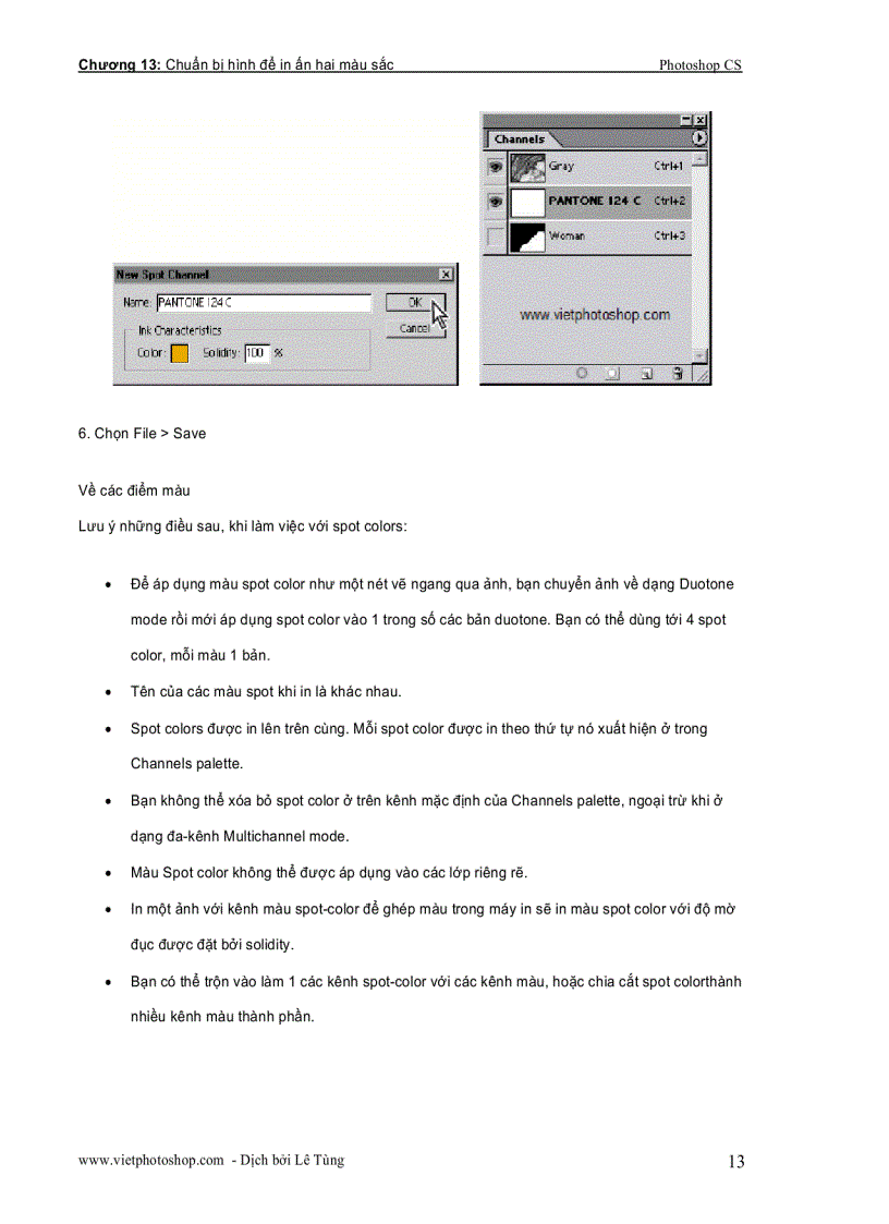 image for page Chuẩn bị hình để in ấn hai màu sắc Photoshop CS part 2