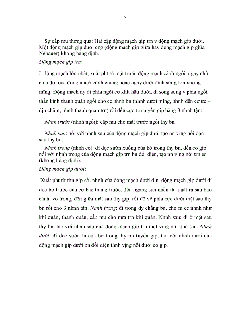 image for page Giải phẩu học tuyến giáp