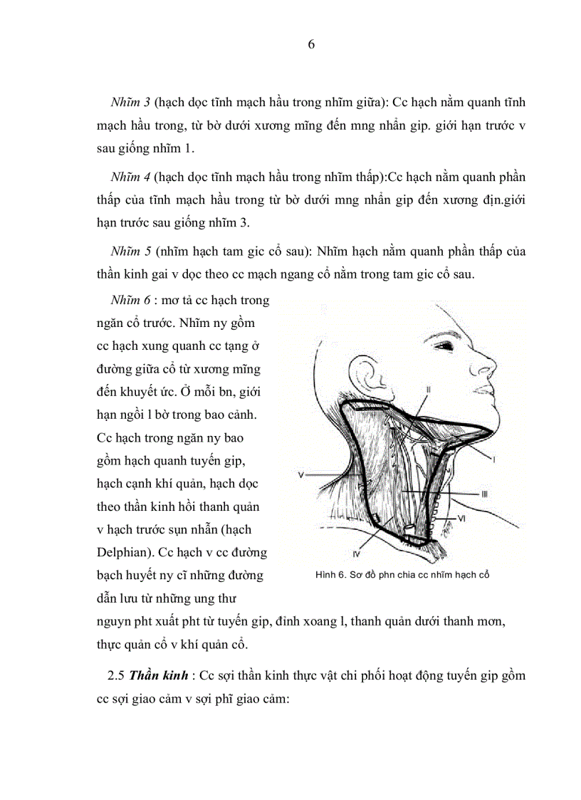 image for page Giải phẩu học tuyến giáp