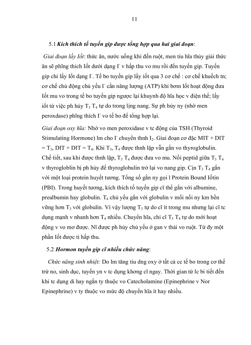 image for page Giải phẩu học tuyến giáp