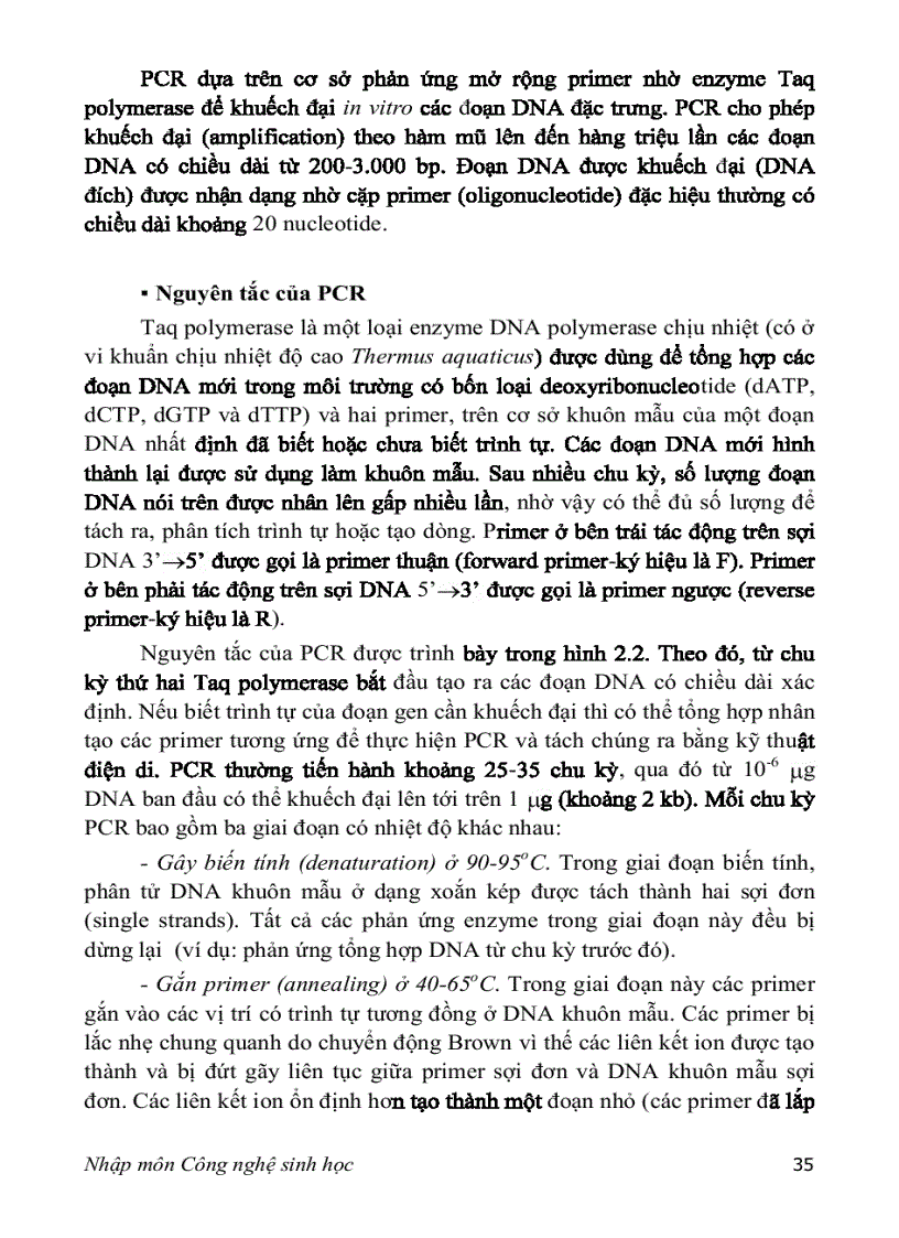 image for page Nhập môn công nghệ sinh học PGS TS Nguyễn Hoàng Lộc