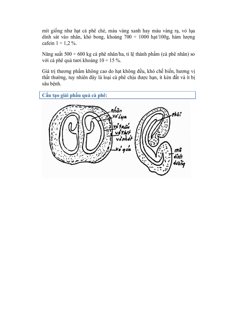 image for page Công nghệ về chè