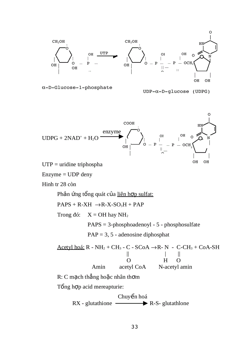 image for page Doc hoc