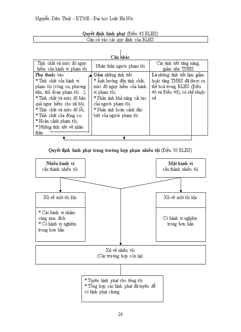 image for page Mô hình luật hình sự