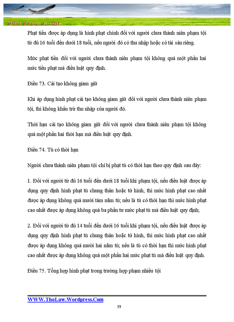 image for page Các VBPL trong Đề cương môn học Luật hình sự