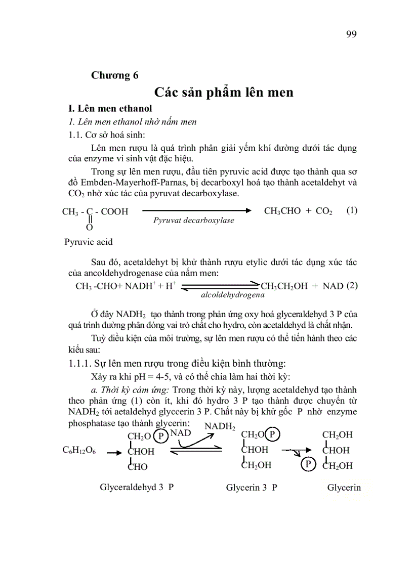 image for page Vi sinh công nghiệp p2 1