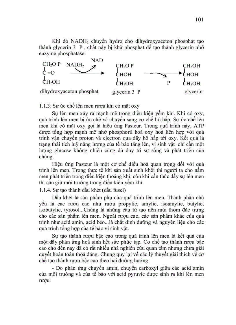 image for page Vi sinh công nghiệp p2 1