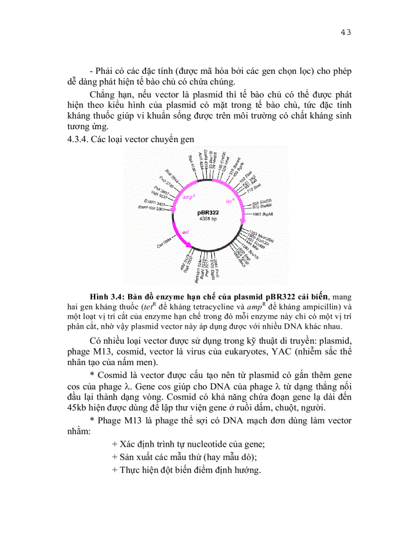 image for page Vi sinh công nghiệp