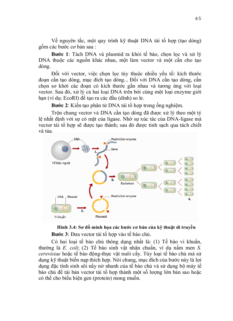image for page Vi sinh công nghiệp