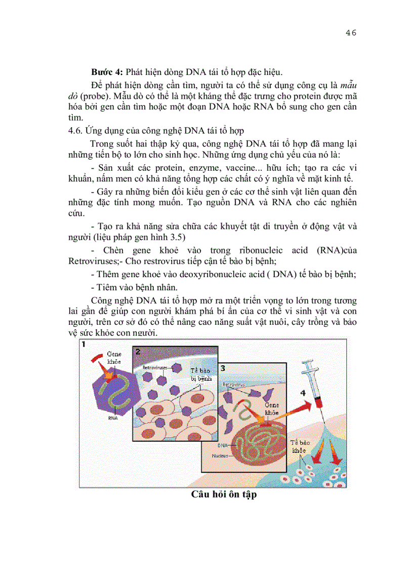 image for page Vi sinh công nghiệp