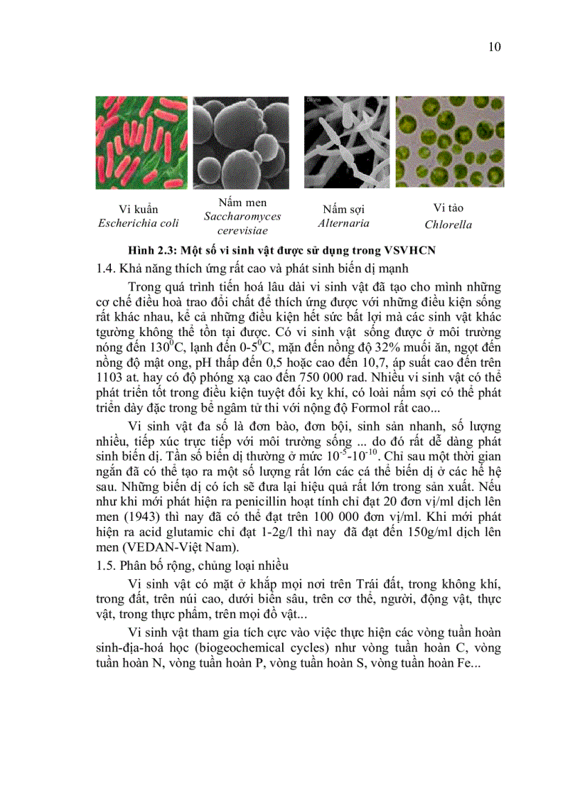 image for page Vi sinh công nghiệp 1