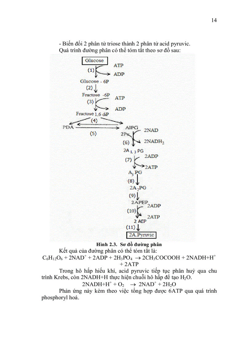 image for page Vi sinh công nghiệp 1