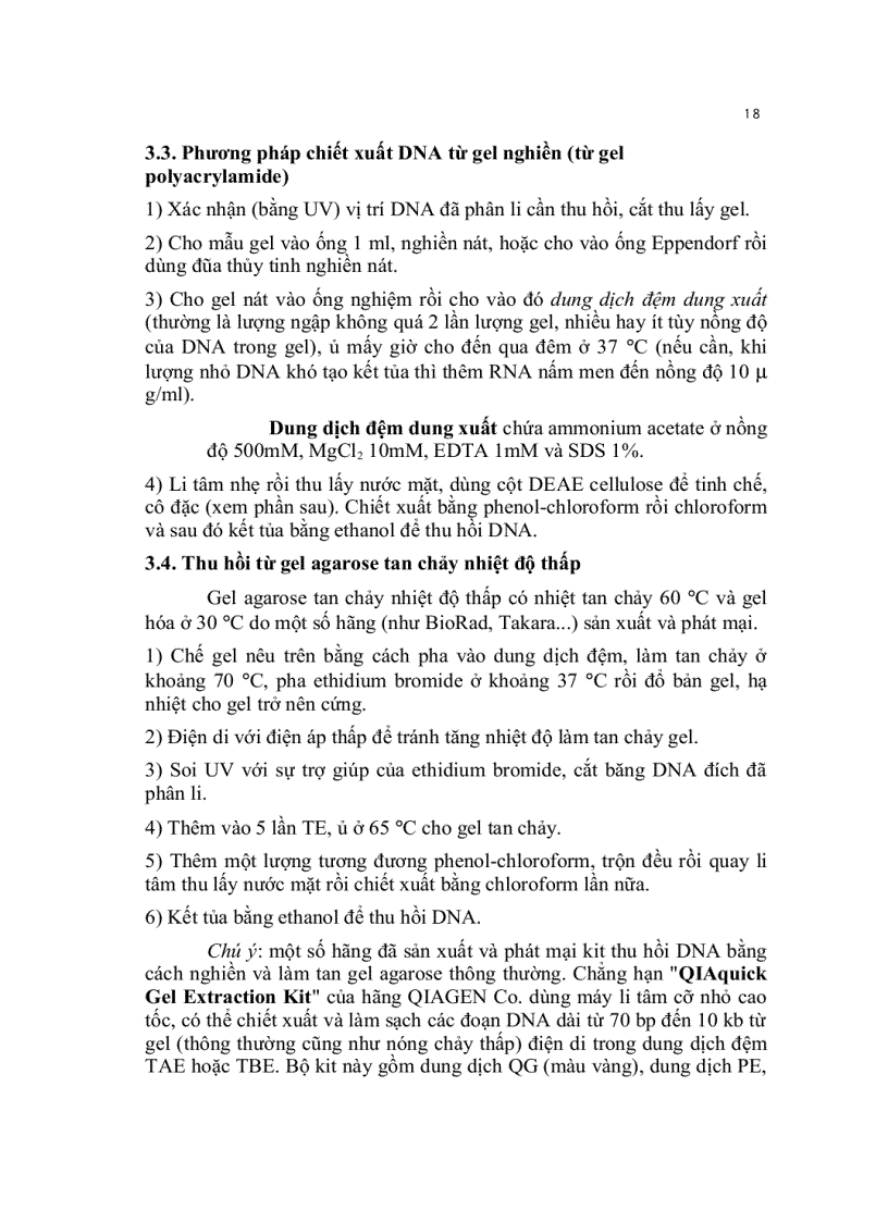 image for page Kỹ thuật cơ bản trong sinh học phân tử