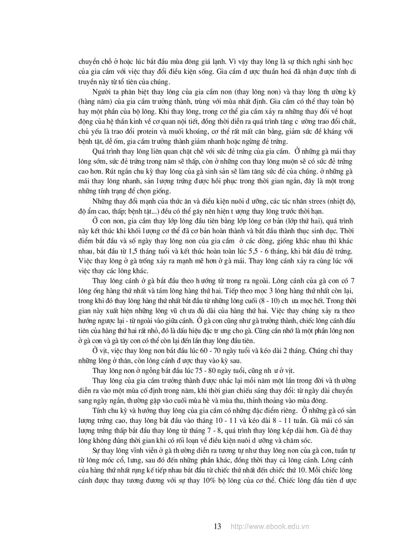 image for page Giáo trinh chăn nuôi gia cầm Nguyễn Thị Mai NXB nông nghiệp 2009