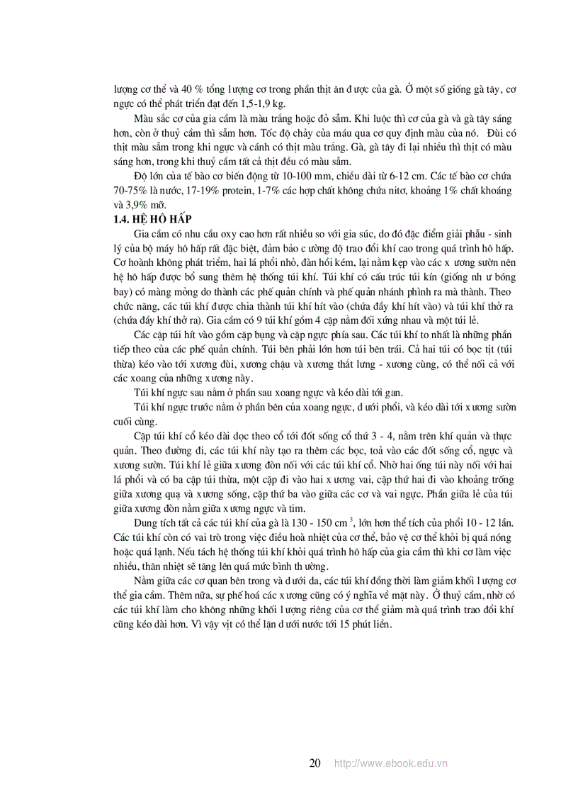 image for page Giáo trinh chăn nuôi gia cầm Nguyễn Thị Mai NXB nông nghiệp 2009