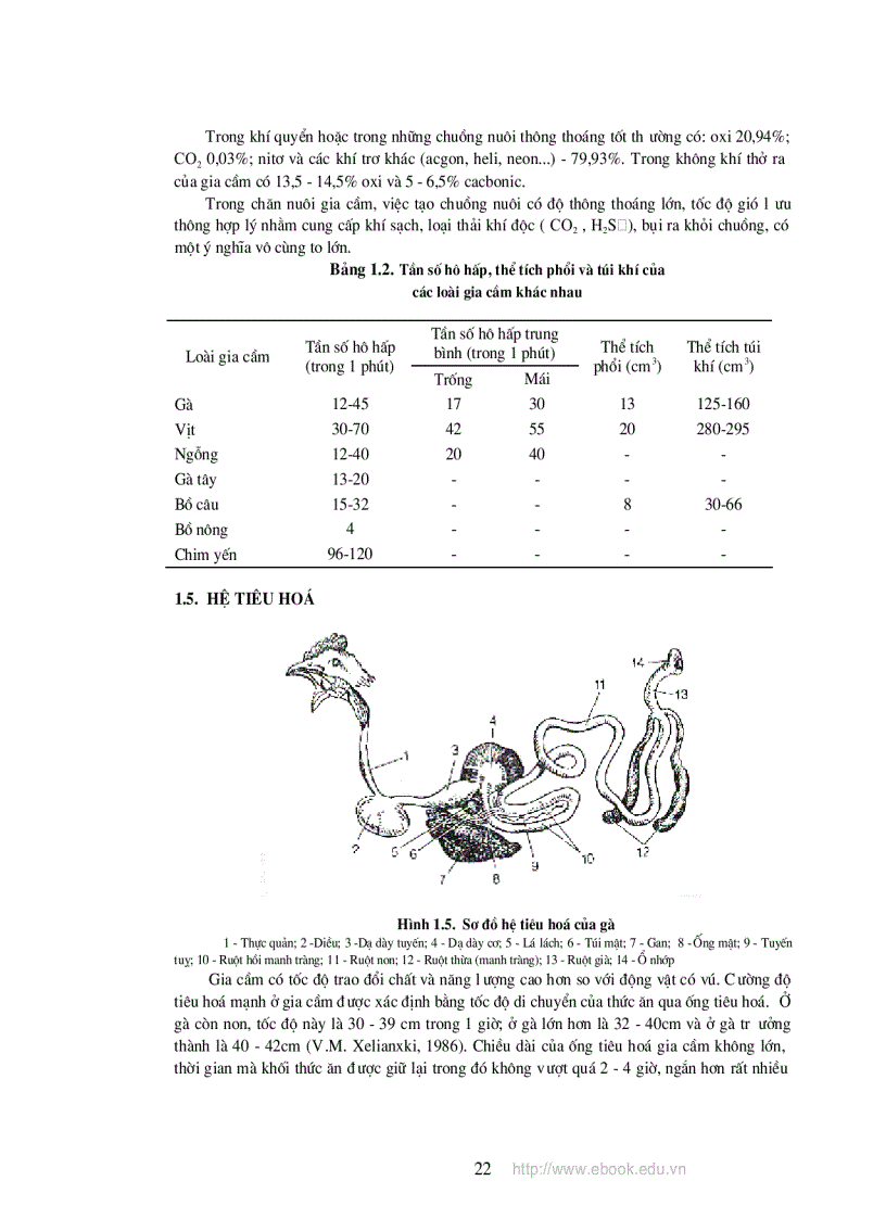 image for page Giáo trinh chăn nuôi gia cầm Nguyễn Thị Mai NXB nông nghiệp 2009