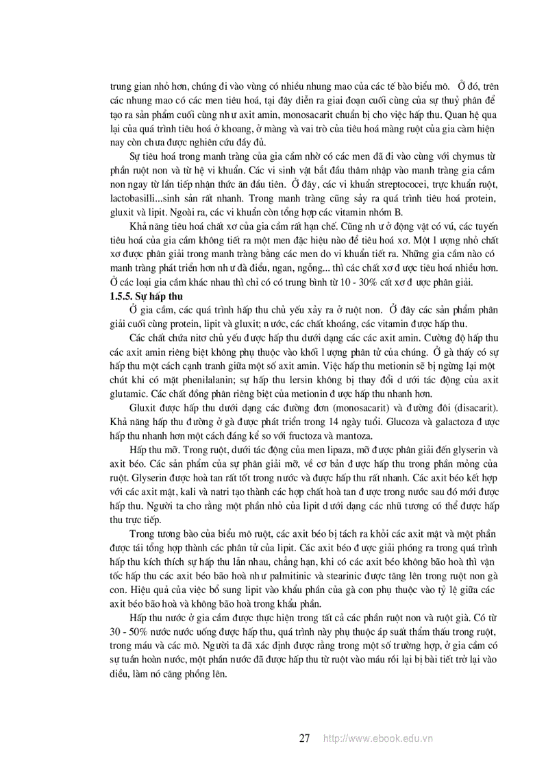 image for page Giáo trinh chăn nuôi gia cầm Nguyễn Thị Mai NXB nông nghiệp 2009