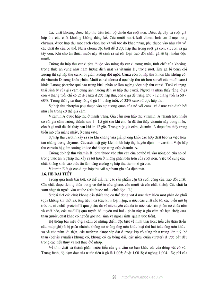 image for page Giáo trinh chăn nuôi gia cầm Nguyễn Thị Mai NXB nông nghiệp 2009