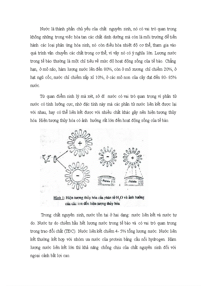 image for page Giáo trình sinh lý học thực vật