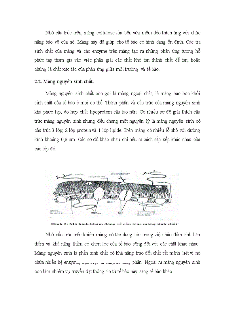 image for page Giáo trình sinh lý học thực vật