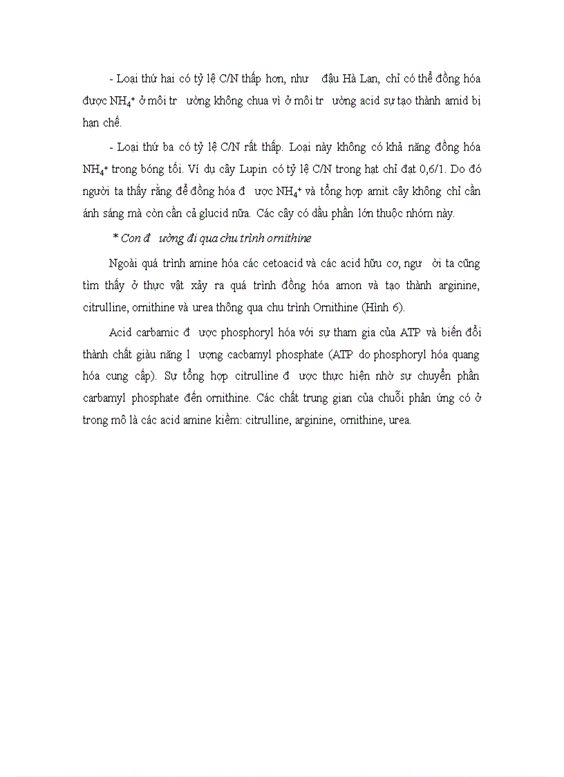 image for page Giáo trình sinh lý học thực vật