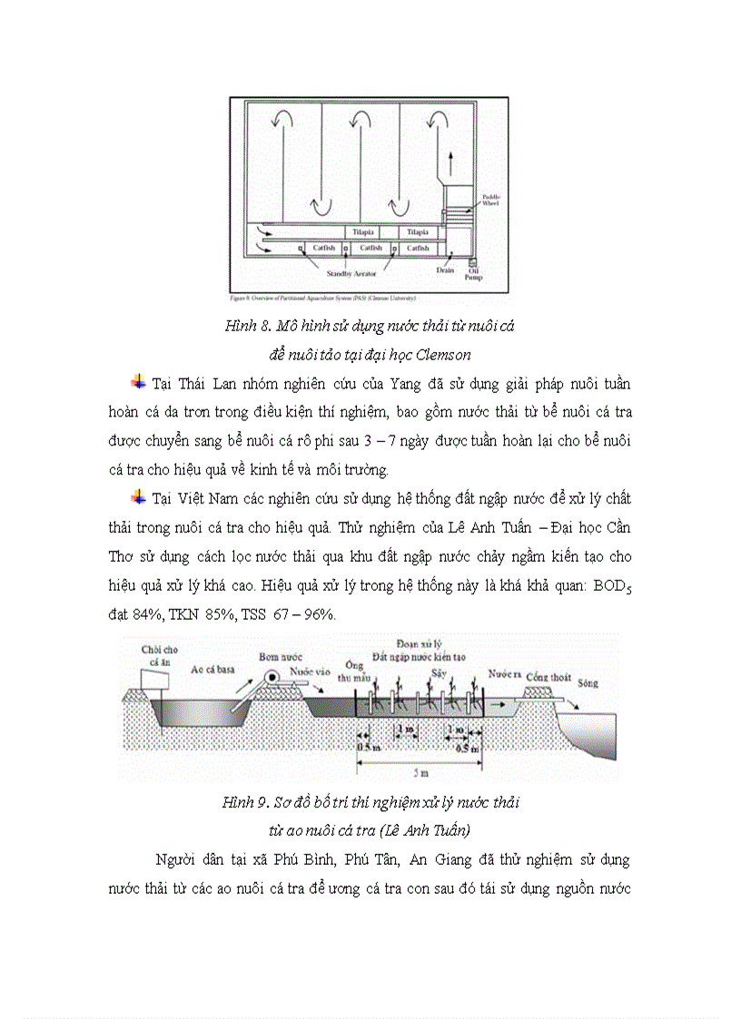 image for page Các vấn đề nuôi thủy sản trong các ao