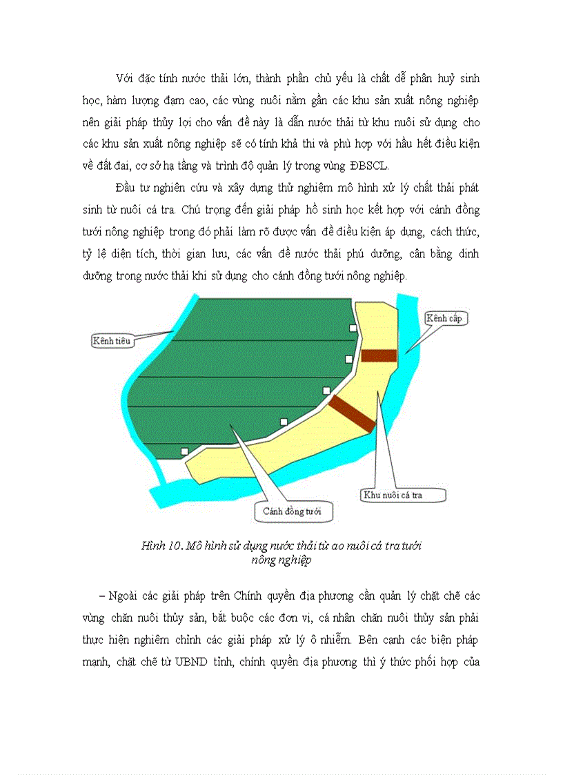 image for page Các vấn đề nuôi thủy sản trong các ao