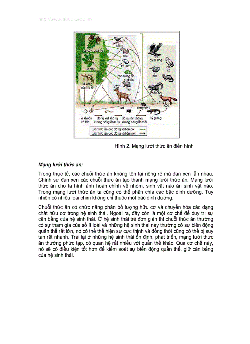 image for page Quản lý môi trường tài nguyên thiên nhiên và vật liệu 113trang