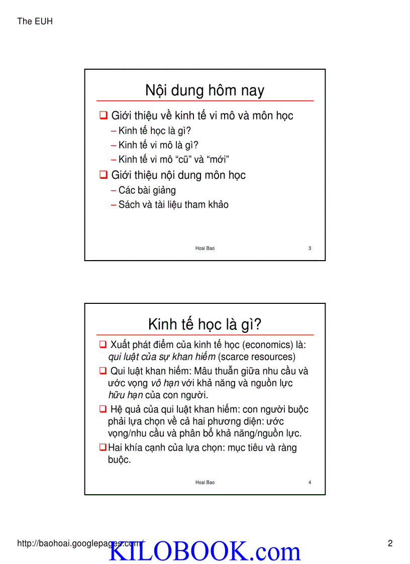 image for page Bài giảng Kinh tế học vi mô