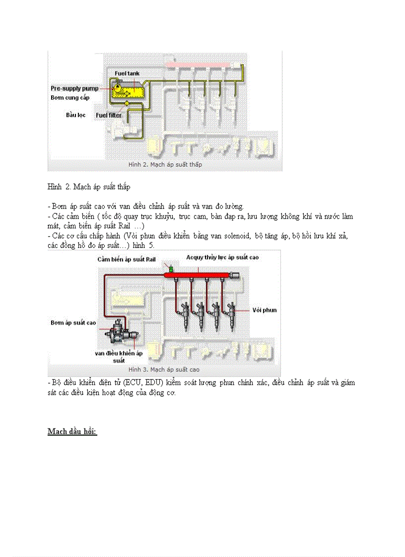 image for page Hệ thống nhiên liệu Common Rail Diesel