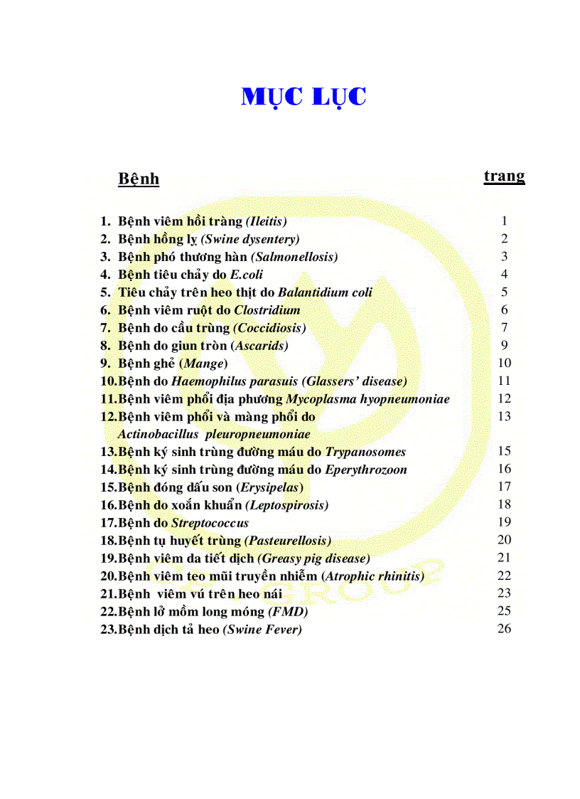 image for page Một số bện thường gặp trên heo