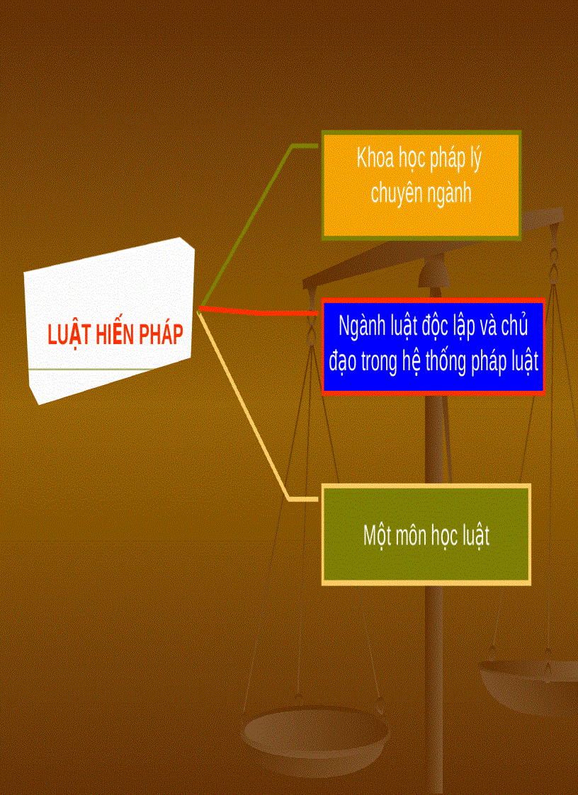 image for page Những vấn đề cơ bản về luật hiến pháp