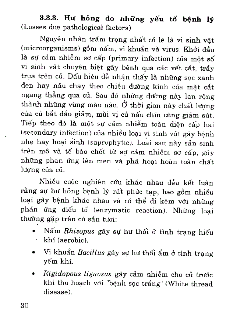 image for page Bảo quản và chế biến sắn khoai mì