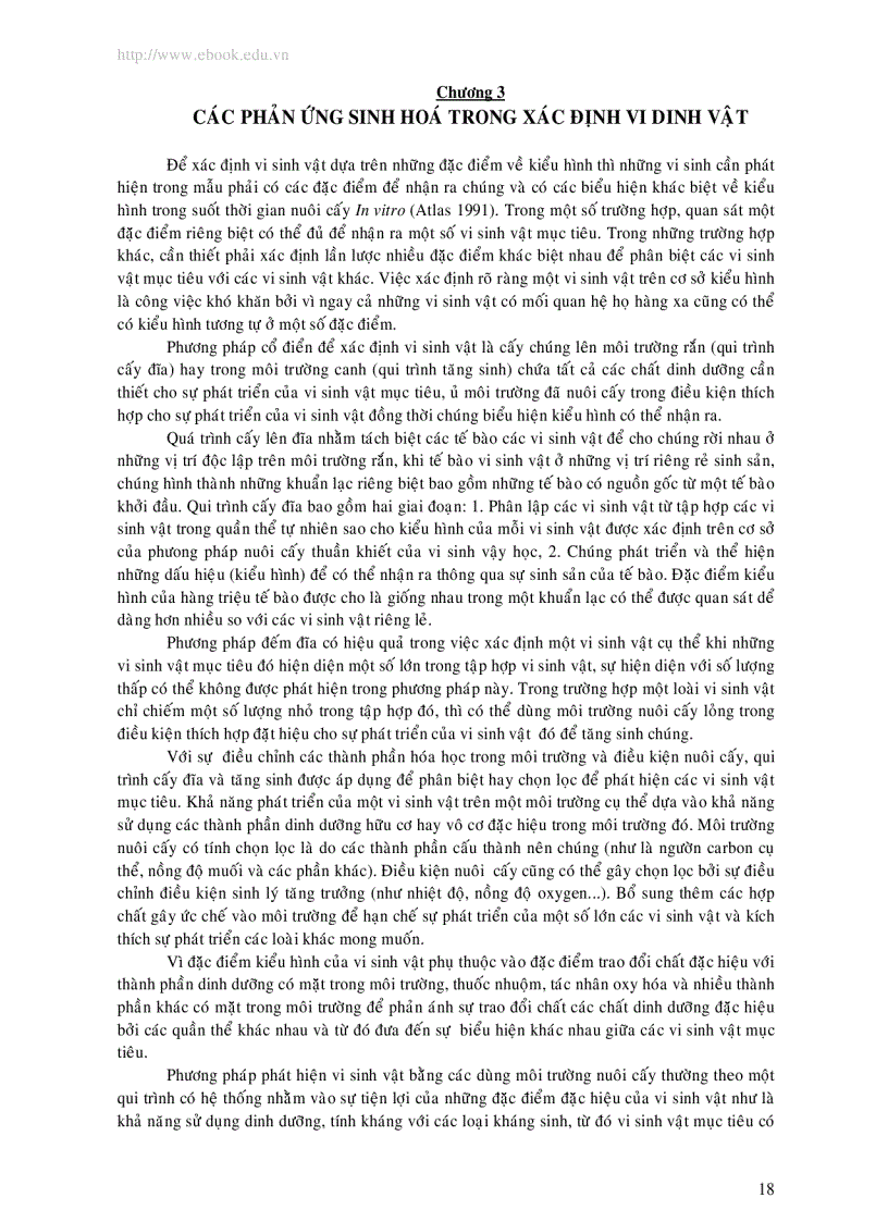 image for page Phương pháp kiểm nghiệm vi thực vật trong thực phẩm