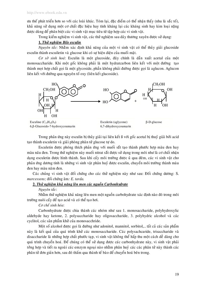 image for page Phương pháp kiểm nghiệm vi thực vật trong thực phẩm