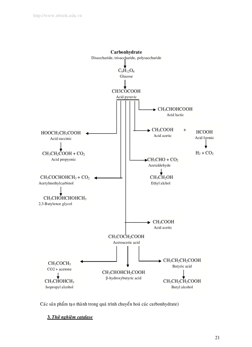 image for page Phương pháp kiểm nghiệm vi thực vật trong thực phẩm
