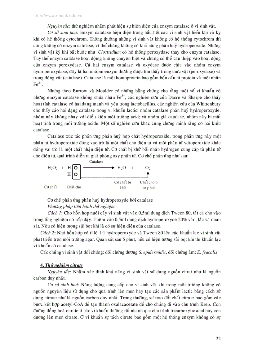 image for page Phương pháp kiểm nghiệm vi thực vật trong thực phẩm