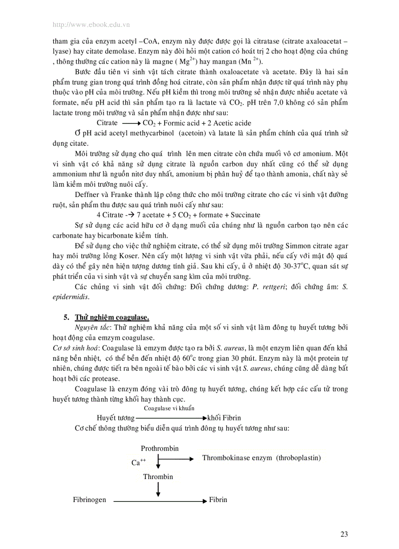 image for page Phương pháp kiểm nghiệm vi thực vật trong thực phẩm