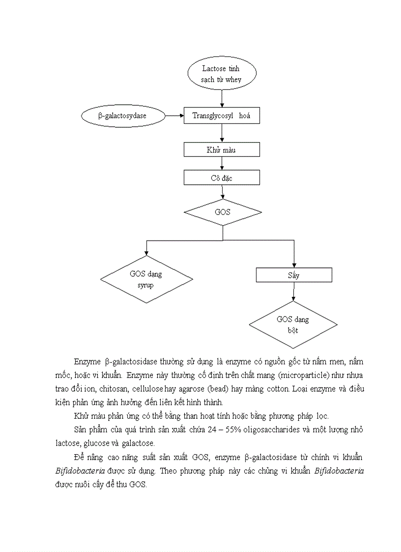 image for page Prebiotic