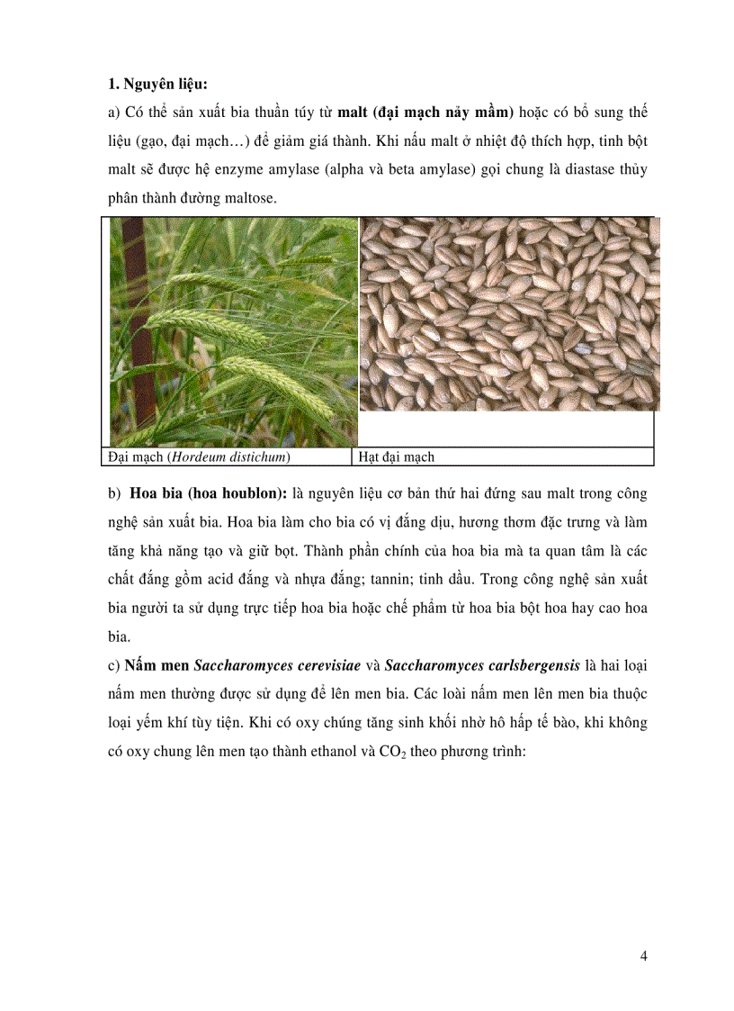 image for page Bài giảng thực hành công nghệ lên men